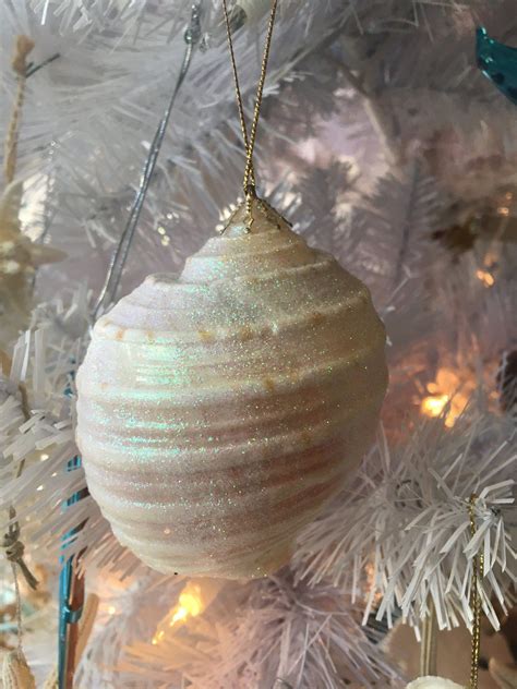 Sparkling Shell Ornaments Glittered Seashells Made Into Ornaments