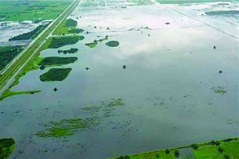 Crítica Situación Por Inundaciones En El Campo Argentino