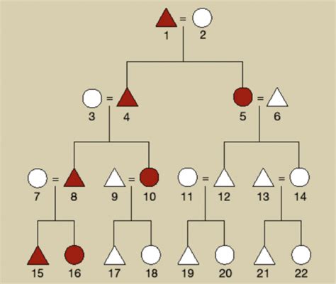 Yanomami Marriage