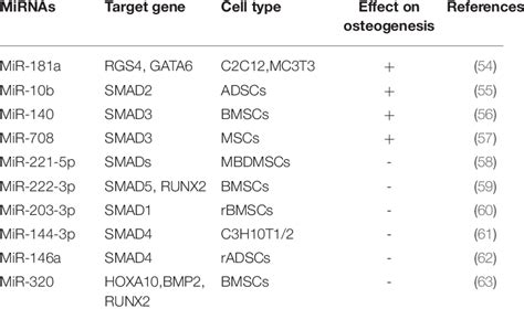 Mirnas Regulate Osteogenic Differentiation By Tgf ßbmp Signaling