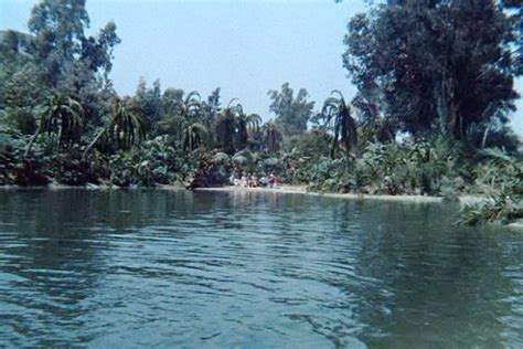 Revealing Facts About Gilligans Island That Will Leave You