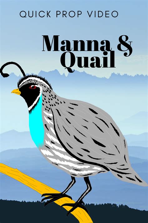 Manna and Quail Quick Prop Video