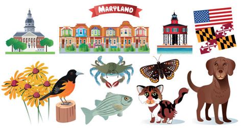 160 Maryland Flag Stock Illustrations Royalty Free Vector Graphics