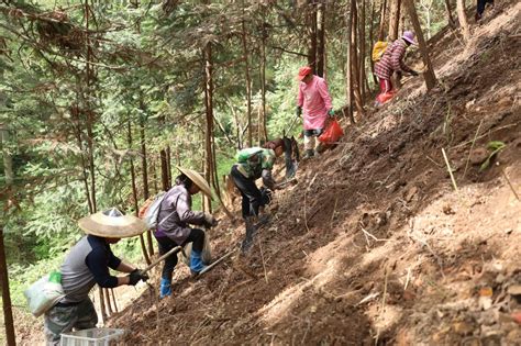 【奋进新征程 建功新时代—全面推进乡村振兴】锦屏平鳌村：“兵支书”踏上乡村振兴“新战场”永涛旅游产业