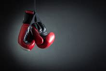 boxing gloves  stock photo public domain pictures