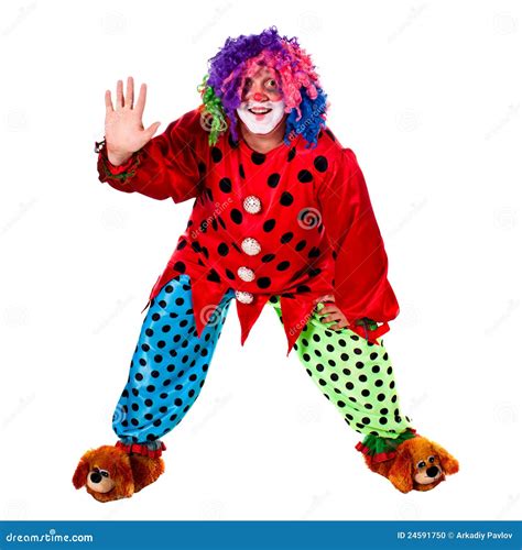Holiday clown stock photo. Image of hair, colorful, play - 24591750