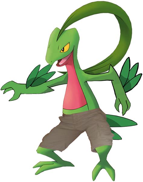 Explorer Grovyle Transparent Background By Pokemon Traceur On Deviantart