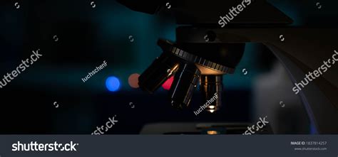 Scientific Microscope Nanotechnology Laboratory Stock Photo 1837814257