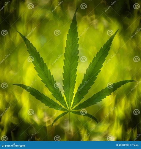 Cannabis Leaf On Abstract Background Stock Images - Image: 20108984