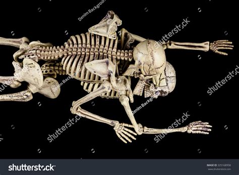 Halloween Sexskeletons Having Sex On Black Stock Photo Shutterstock
