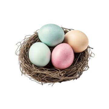 Happy Easter Day Eggs In Nest Top View Adorable Beautiful Beauty Png