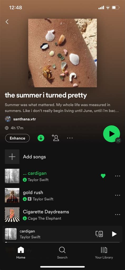 The Summer I Turned Pretty Jenny Han Playlist Booktok Its Not