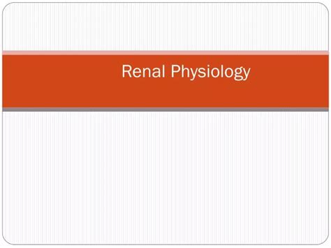 Ppt Renal Physiology Powerpoint Presentation Free Download Id1876939