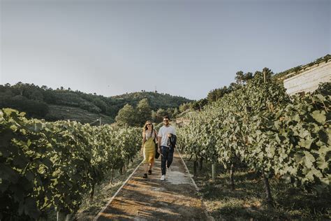 Guía Peñín de Enoturismo Viña Costeira Peñín El nuevo Peñín