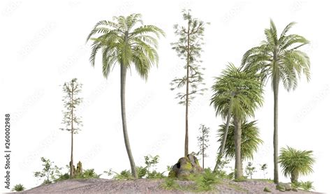 Mesozoic Plants