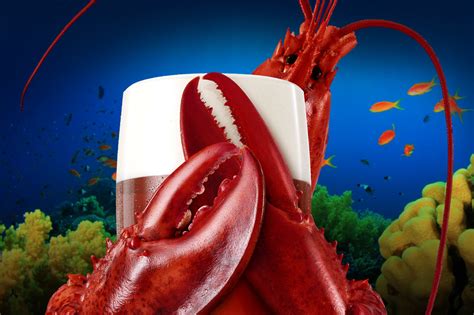 Как сочетать пиво и морепродукты - Fanatic Beer Magazine