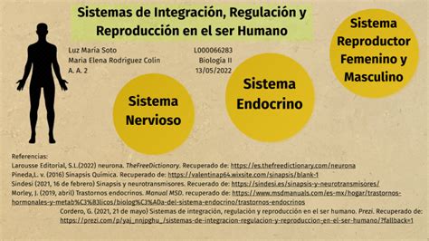 Sistemas de Integración Regulación y Reproducción del Ser Humano by