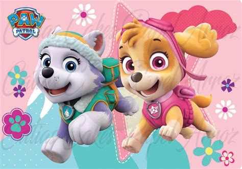 6fev2018 Resultado De Imagen Para Decoracion Paw Patrol Paw