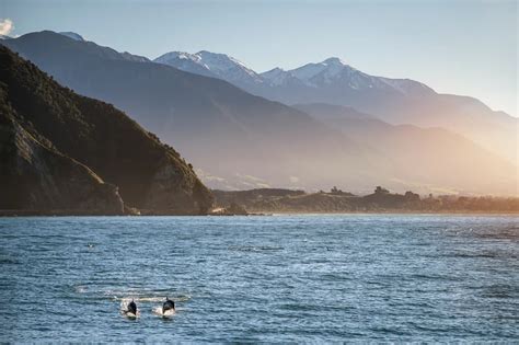 Kaikōura Canterbury