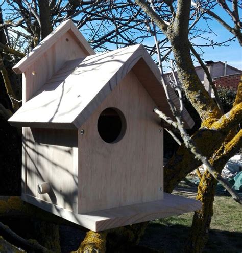 El Ayuntamiento De Villamediana Instalar Cajas Refugio Para Aves