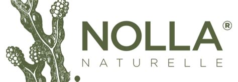 Авторизация