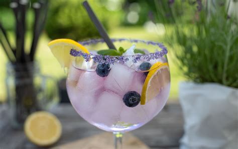 Johannisbeer Tanqueray Gin Tonic mit dunklen Beeren - Zimtliebe ...
