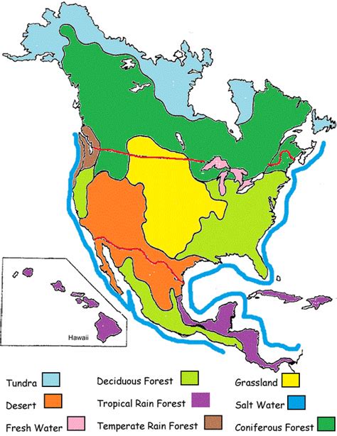 Biomes virtual field trip | Biomes, Homeschool science, Teaching geography