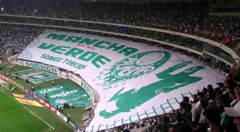 Palmeiras Mancha Alviverde Punida Pela Federa O Paulista