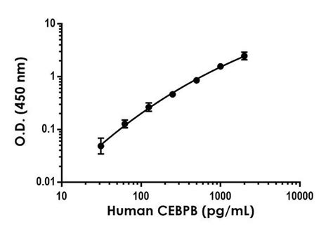 Results For Cebpb Abcam Antibodies Proteins Kits