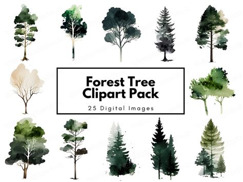 Watercolor Forest Tree Clipart Woodland Clipart Pine Tree Clipart Watercolor Trees For