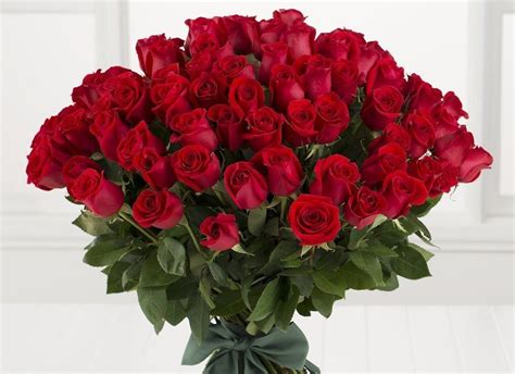 Long Stem Red Roses Bouquet Roses Only Sg