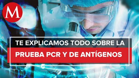 Cuál es la diferencia entre PCR y ELISA VALETRY