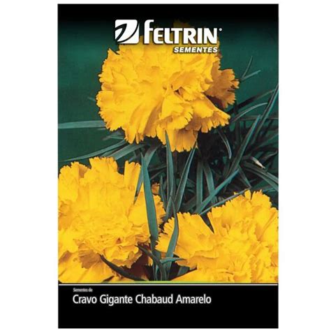 Sementes De Cravo Gigante Chabaud Amarelo Feltrin Leroy Merlin