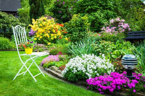 Por qué es tan importante tener un jardín Los Jardines son Vida