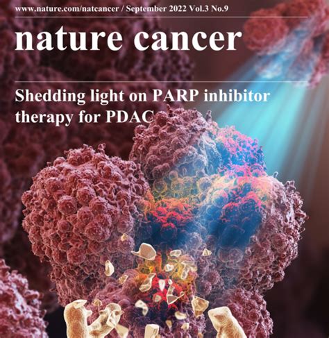 陶凯雄教授团队在nature Cancer封面联合发表研究成果 华中科技大学同济医学院附属协和医院