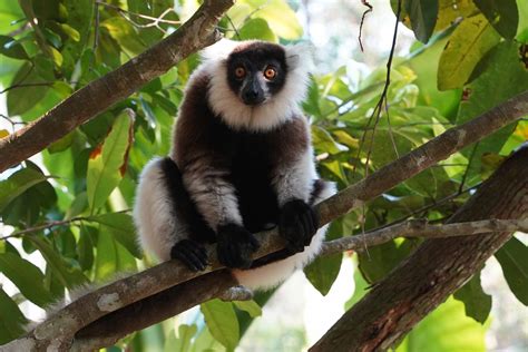 1000 Views of Madagascar • 12 Days • Group Tour