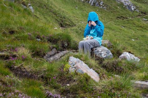 Midges in Scotland | Earth Trekkers