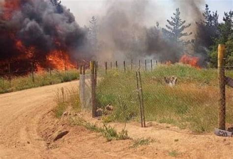 Se Declara Alerta Roja Para La Comuna De Paredones Por Incendio