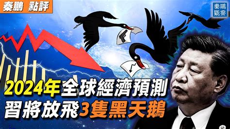 【秦鹏观察】2024经济预测 5大灰犀牛3只黑天鹅 中国经济 通货膨胀 新唐人电视台