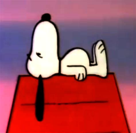 Snoopy's doghouse | Peanuts Wiki | FANDOM powered by Wikia