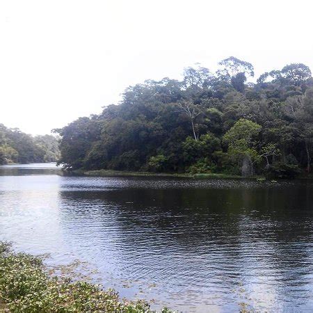 Parque S O Bartolomeu Salvador Atualizado O Que Saber Antes De