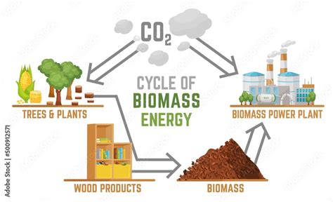 Biomass Energy Landscape Poster With Useful Infographics Vector