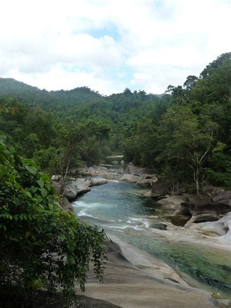 Rainforest, Cairns, Australia | City of adelaide, Rainforest, Australia