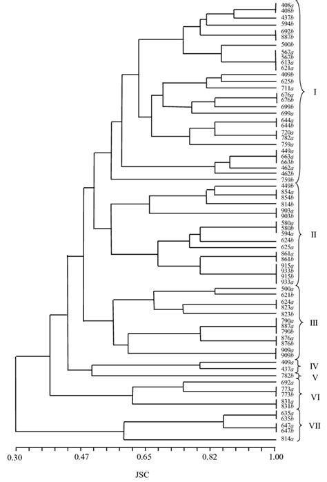 UPGMA Dendrogram Illustrating Genetic Relationships Among 37 Accessions