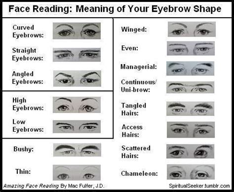 Face reading guide. Basics, tips and secrets. | Face reading, Types of ...