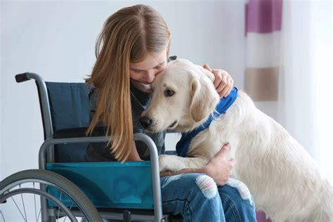 Assistance Dogs: How They Help Us - Blue Badge Australia