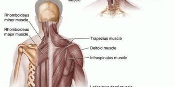 Upper Back Muscle Strain or Spasm Medical Treatment Services in Payyannur | ID: 7974067291