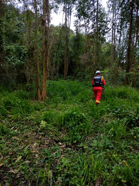 Equipes De Resgate Se Mobilizam Para Encontrar Mulher Que Desapareceu