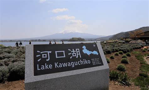 Desde Tokio excursión turística privada de un día al monte Fuji