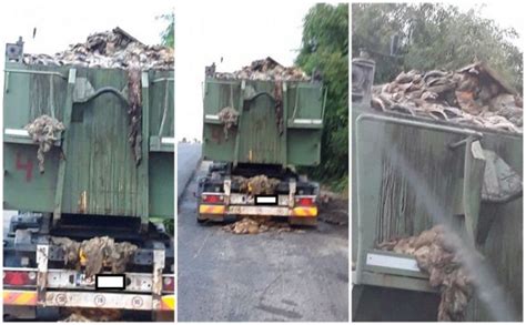 VIDEO Explozie la un camion care transporta deșeuri animaliere de la